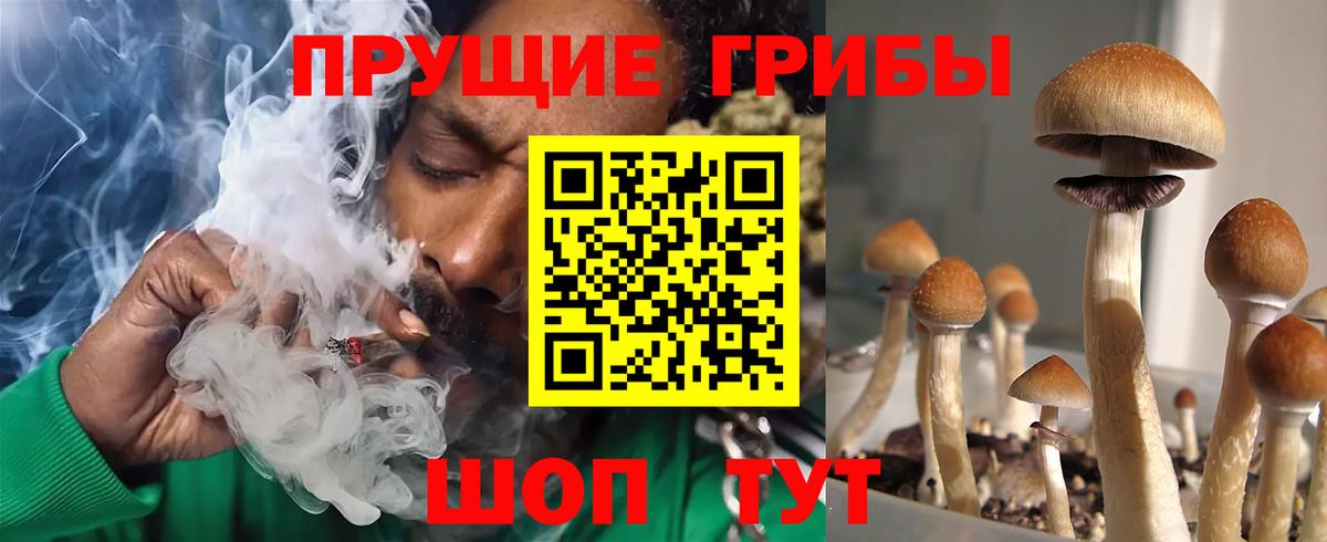 Малгобек  Псилоцибиновые грибы прущие грибы  Вход с VPN 